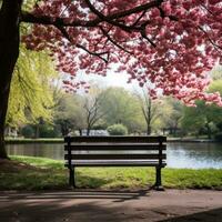 ai generado un pacífico imagen de un solitario parque banco anidado entre floreciente arboles y lozano verdor, foto