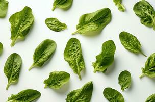 AI generated some leafy greens are on a white background, isolated photo