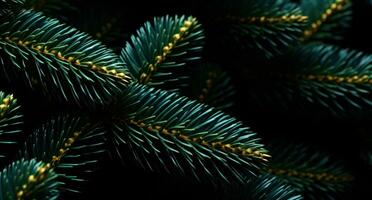 AI generated swiss fir christmas tree isolated on dark background christmas tree photo