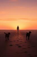 AI generated silhouettes of dogs running on sandy beaches dog photo