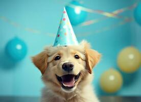 ai generado pequeño dorado perdiguero perro en un fiesta sombrero, foto