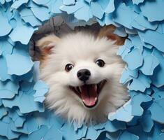 AI generated a smiling dog peeking out from the hole in a blue wall, photo