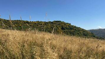 Herbst Hang Gelassenheit knackig Blau Himmel video