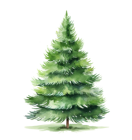 ai generado un pintado Navidad árbol en un blanco fondo, png