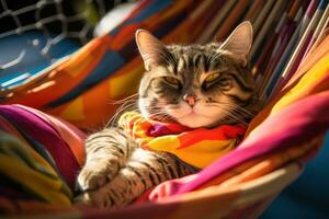 AI generated a cat dressed up in sunglasses is sleeping in a hammock, photo