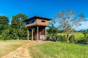 View from Nong Pak Chi observation tower, Khao Yai National Park. photo