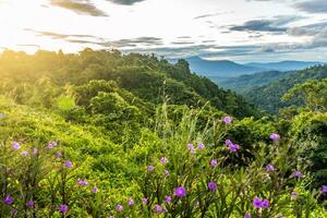 landscape of mountain beautiful countryside of Thailand photo