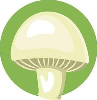 Mushroom vector color illustration.