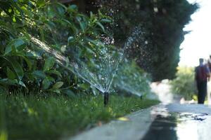 automático riego césped, jardín césped aspersor en acción. foto