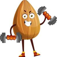 Almond lifting weights, illustration, vector on white background.