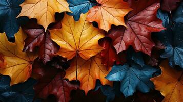AI generated Background group autumn multicolor leaves. photo