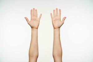 Young pretty fair-skinned female raised hands while isolated over white background, showing her palms to camera and keeping all fingers separetely photo