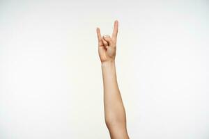 Horizontal shot of attractive female's hands showing fingers in love gesture while keeping them raised over white background. Women showing hand with sign language photo