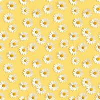 AI generated a yellow background with white daisies seamless pattern background photo