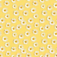 AI generated a yellow background with white daisies seamless pattern background photo