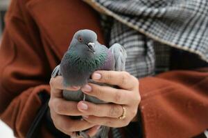 joven sosteniendo palomas en la naturaleza por la tarde foto