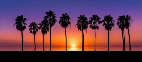 AI generated a group of palm trees in silhouette with ocean along the lake photo