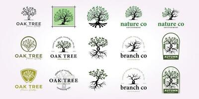 oak tree logo design bundle, nature tree icon set vintage forest vector illustration