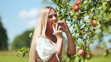 un joven mujer despluma un manzana desde un árbol y come él. video