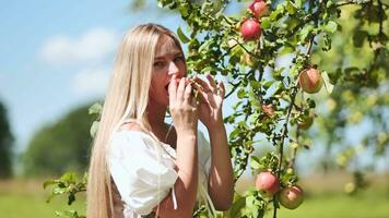 A young woman plucks an apple from a tree and eats it. video
