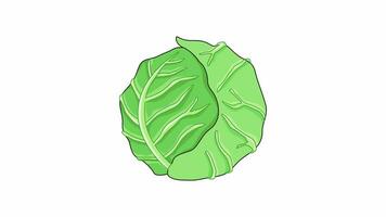 Animation forms a cabbage vegetable icon video