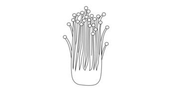 Enoki mushroom icon sketch animation video