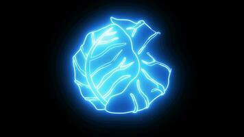 Animated cabbage vegetable icon with glowing neon effect video