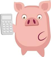 Piggy is holding a calculator, illustration, vector on white background.