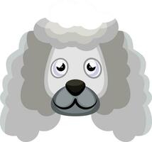 Poodle illustration vector on white background