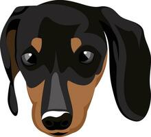 Small Doberman illustration vector on white background