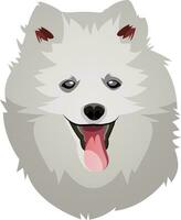 Pomeranian illustration vector on white background