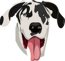 Great Dane illustration vector on white background