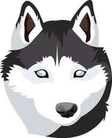 Siberian Husky illustration vector on white background