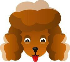 Orange Poodle illustration vector on white background