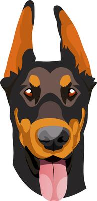 Doberman illustration vector on white background