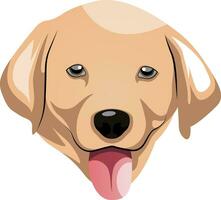 Labrador illustration vector on white background