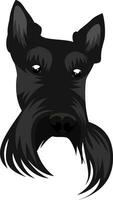 Scotish Terrier illustration vector on white background