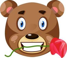 Bear is holding rose in his mouth, illustration, vector on white background.