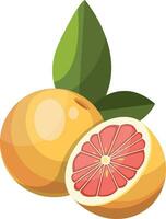 Cartoon of yellow grapefruit cut in half vector illustration on white background.