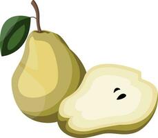 Cartoon of a yellow pear  fruit with green leaf half a pear with brown seed vector illustration on white background.