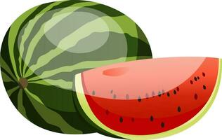 Vector illustration of green watermelon red slice with black seed white background.