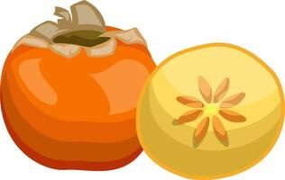 Cartoon of an orange persimmon fruit half a yellow persimmon with orange seed vector illustration on white background.