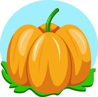 Big orange pumpkin, illustration, vector on white background.