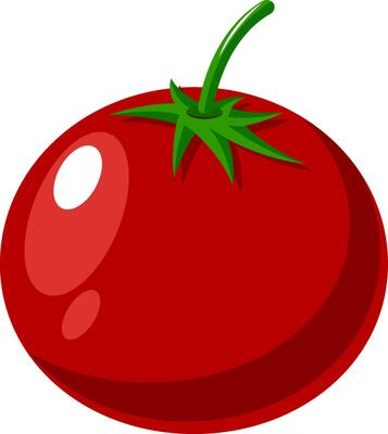 Fresh tomato, illustration, vector on white background.