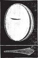 prismático vaso, Clásico grabado. vector