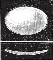 Biconvex lens, vintage engraving. vector