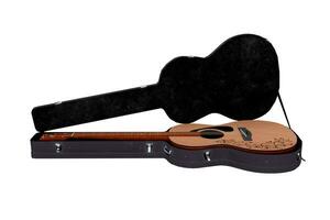 3d rendering brown acoustic guitar case photo