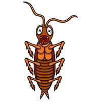 Cartoon Dead Cockroach isolated on white background vector