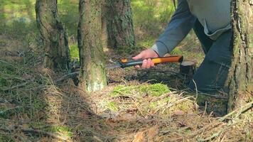 Mens in een wandeltocht zagen hout voor de kampvuur gebruik makend van een hand- zaag. toerist in een Europese Woud is voorbereidend voor de kamp. statisch schot video