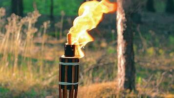 bambú antorcha ardiente en el bosque en verano en el tiempo de día. decorativo tropical vela tiene un grande naranja fuego utilizando petróleo combustible o queroseno lento movimiento. estático de cerca Disparo video